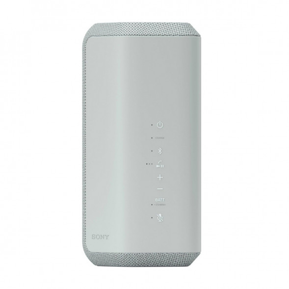 Портативная колонка Sony SRS-XE300, Light Gray в Мытище