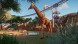 Игра Planet Zoo: Console Edition [PS5, английская версия] в Мытище