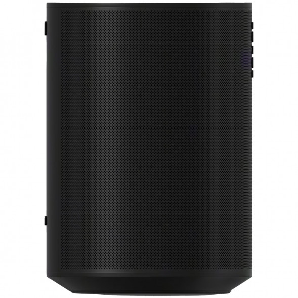 Умная колонка Sonos Era 100, черный в Мытище
