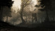 Игра GreedFall [PS4, русские субтитры] в Мытище