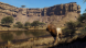 Игра Way of the Hunter: Wild Expeditions [PS5, русские субтитры] в Мытище