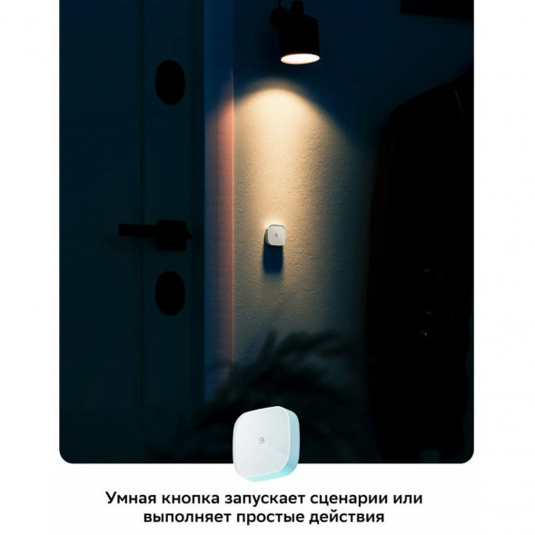 Умная кнопка Sber SBDV-00032 в Мытище