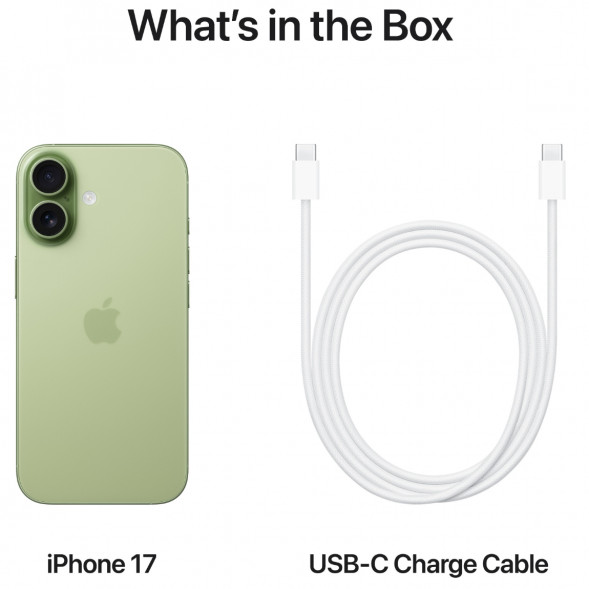 Смартфон Apple iPhone 17 256GB eSim, Sage в Мытище
