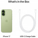 Смартфон Apple iPhone 17 256GB eSim, Sage в Мытище