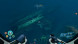Игра Subnautica: Below Zero [PS5, русские субтитры] в Мытище