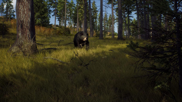 Игра Way of the Hunter [PS5, русские субтитры] в Мытище