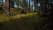 Игра Way of the Hunter [PS5, русские субтитры] в Мытище