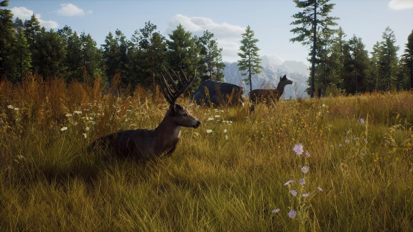 Игра Way of the Hunter [PS5, русские субтитры] в Мытище