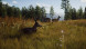 Игра Way of the Hunter [PS5, русские субтитры] в Мытище