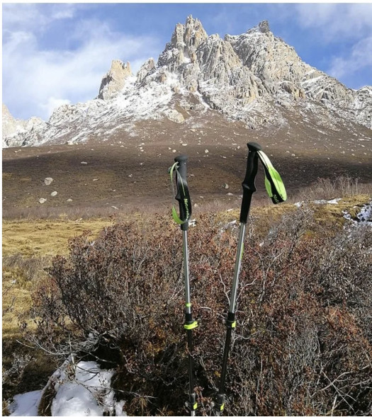 Треккинговая палка Naturehike 135 см, 1 шт., белый/красный в Мытище