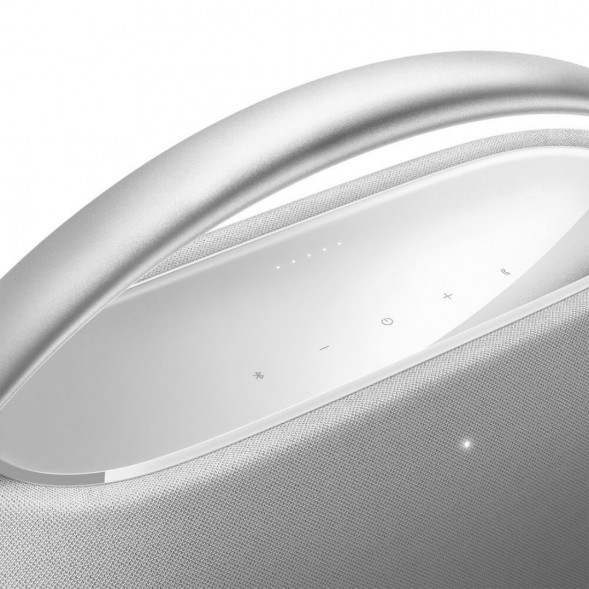 Портативная акустика Harman/Kardon Go + Play 3, серый в Мытище