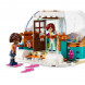 Конструктор LEGO Friends 41760 Праздничное приключение в иглу в Мытище
