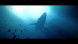 Игра Under The Waves [PS4, русские субтитры] в Мытище