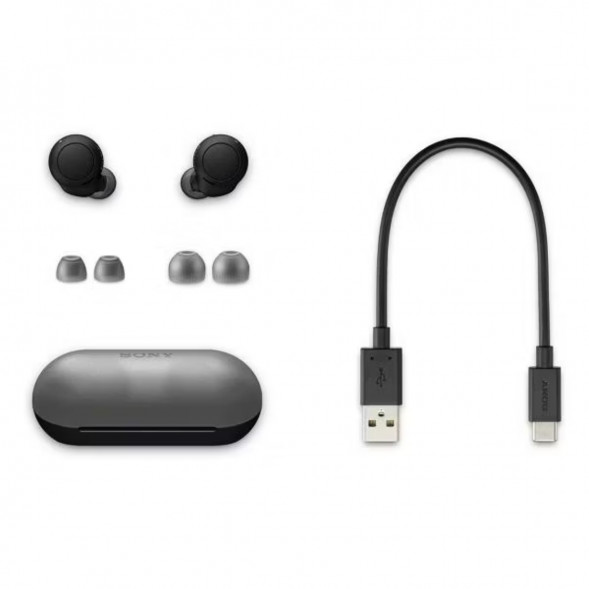 Беспроводные наушники Sony WF-C500, Black в Мытище