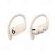 Беспроводные наушники Beats Powerbeats Pro, Ivory (MY5D2ZM/A) в Мытище