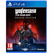 Игра Wolfenstein Youngblood Deluxe Edition [PS4, русская версия] в Мытище