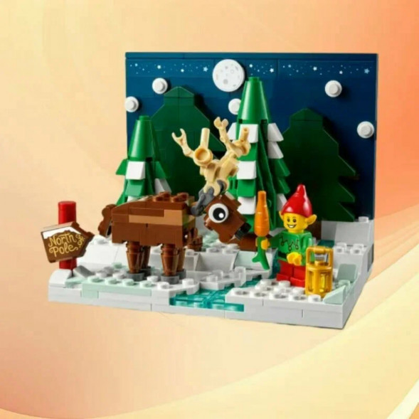 Конструктор LEGO 40484 Перед домом Деда Мороза в Мытище